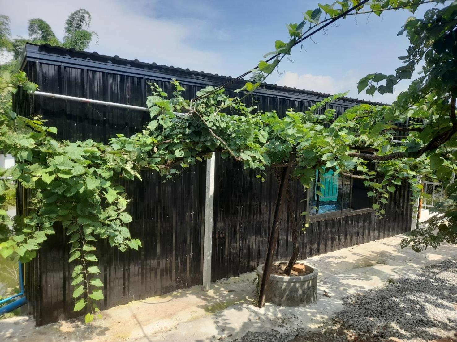 บ้านสวนปวิชญา เกษตรอินทรี Fang Eksteriør billede